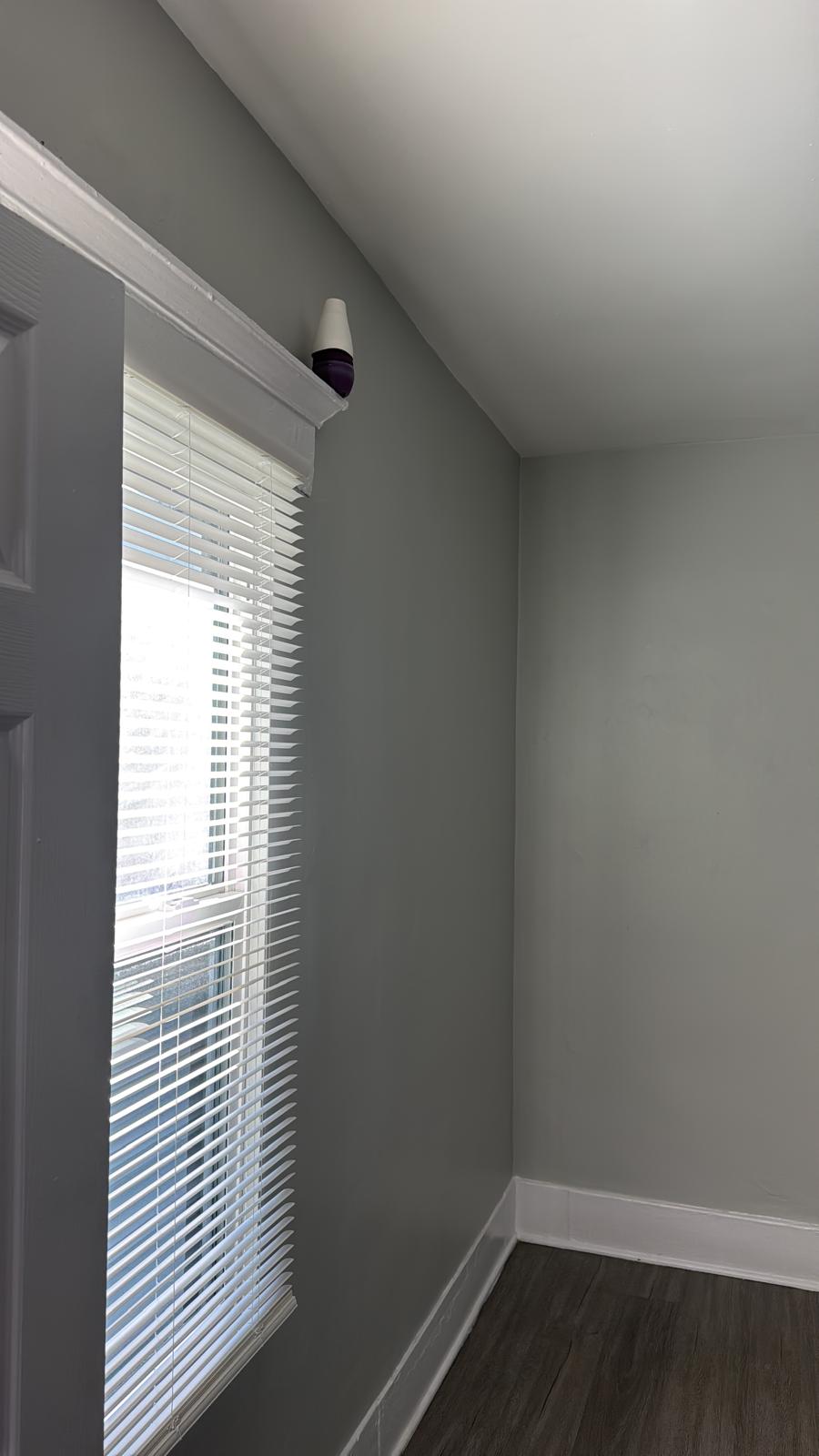 Interior painting and finish work